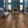Karndean Art Select EW21 Reclaimed Chestnut
