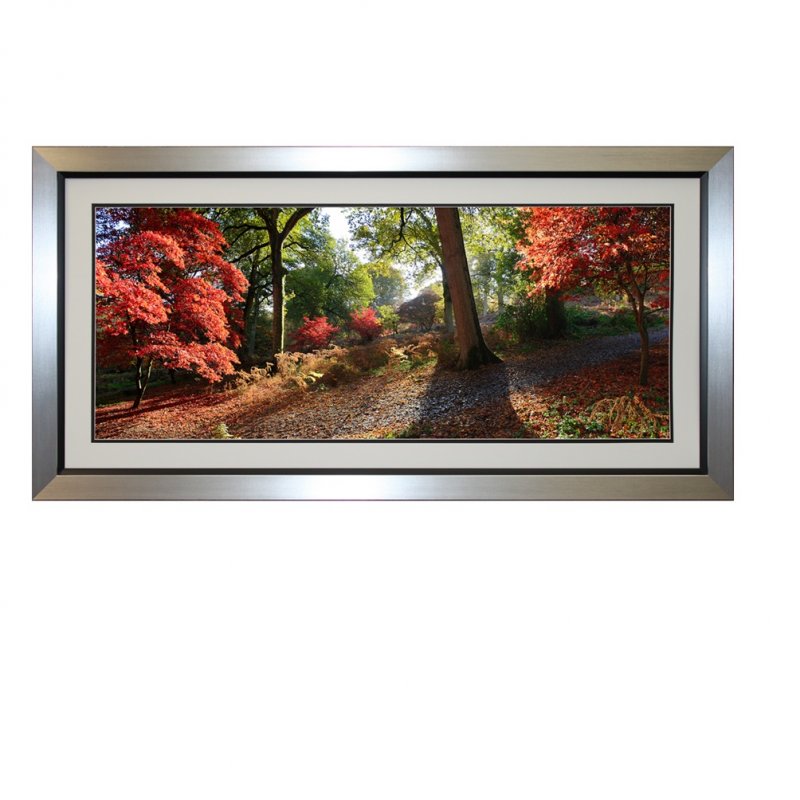 Complete Colour Autumn Trees Picture